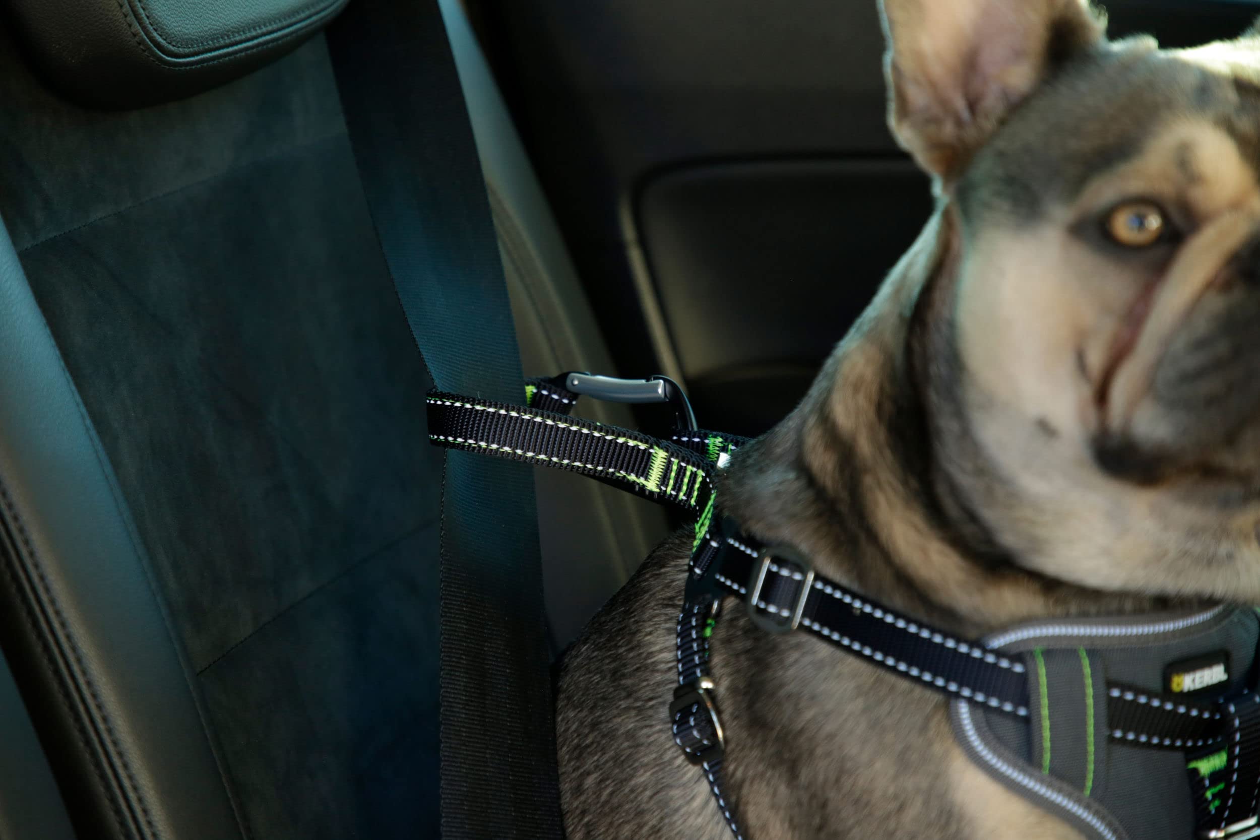 kerbl-harnais-pour-voiture-chien-noir-50-65-cm-20-mm image 5