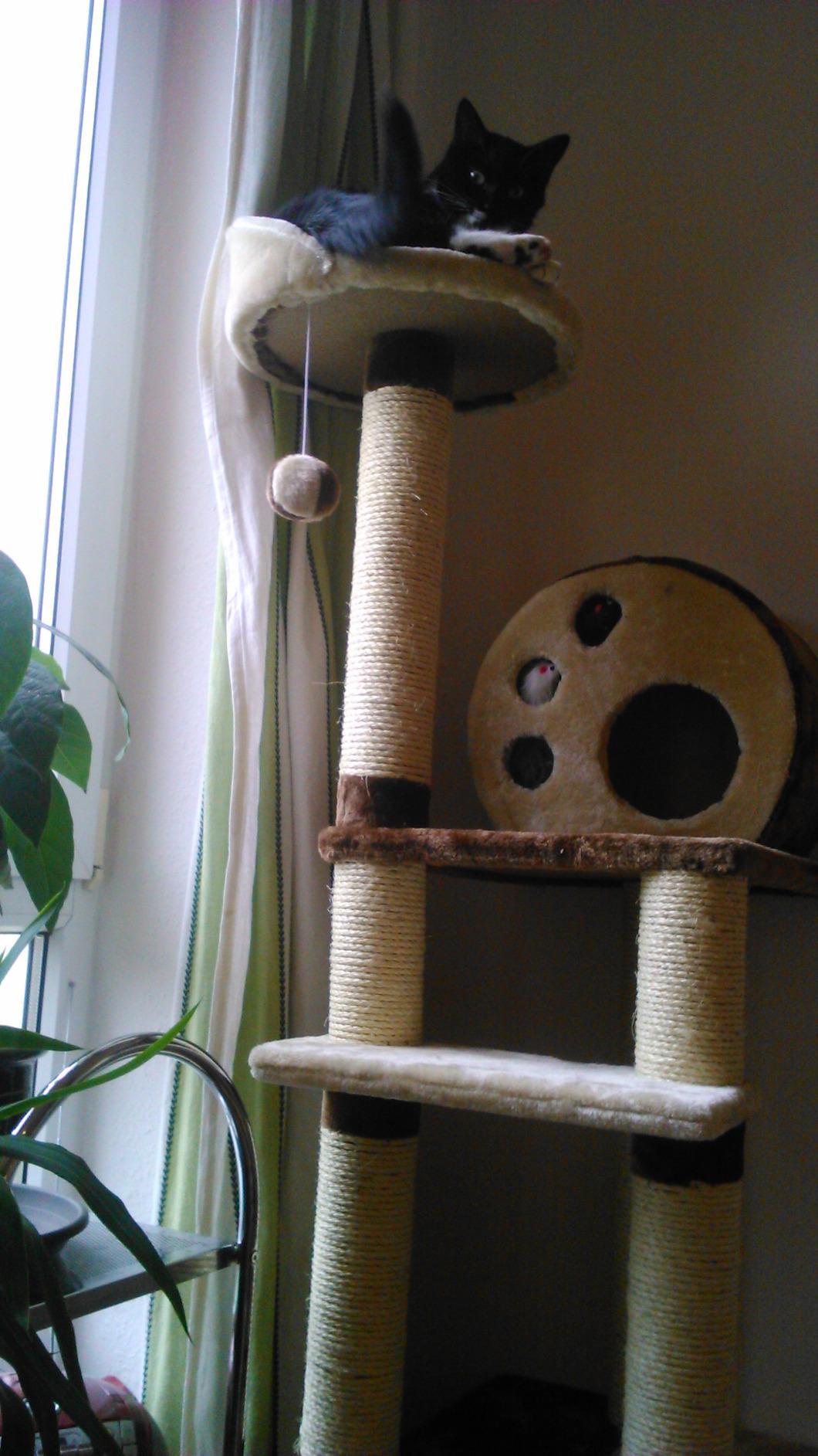 Superbe arbre 127 cm