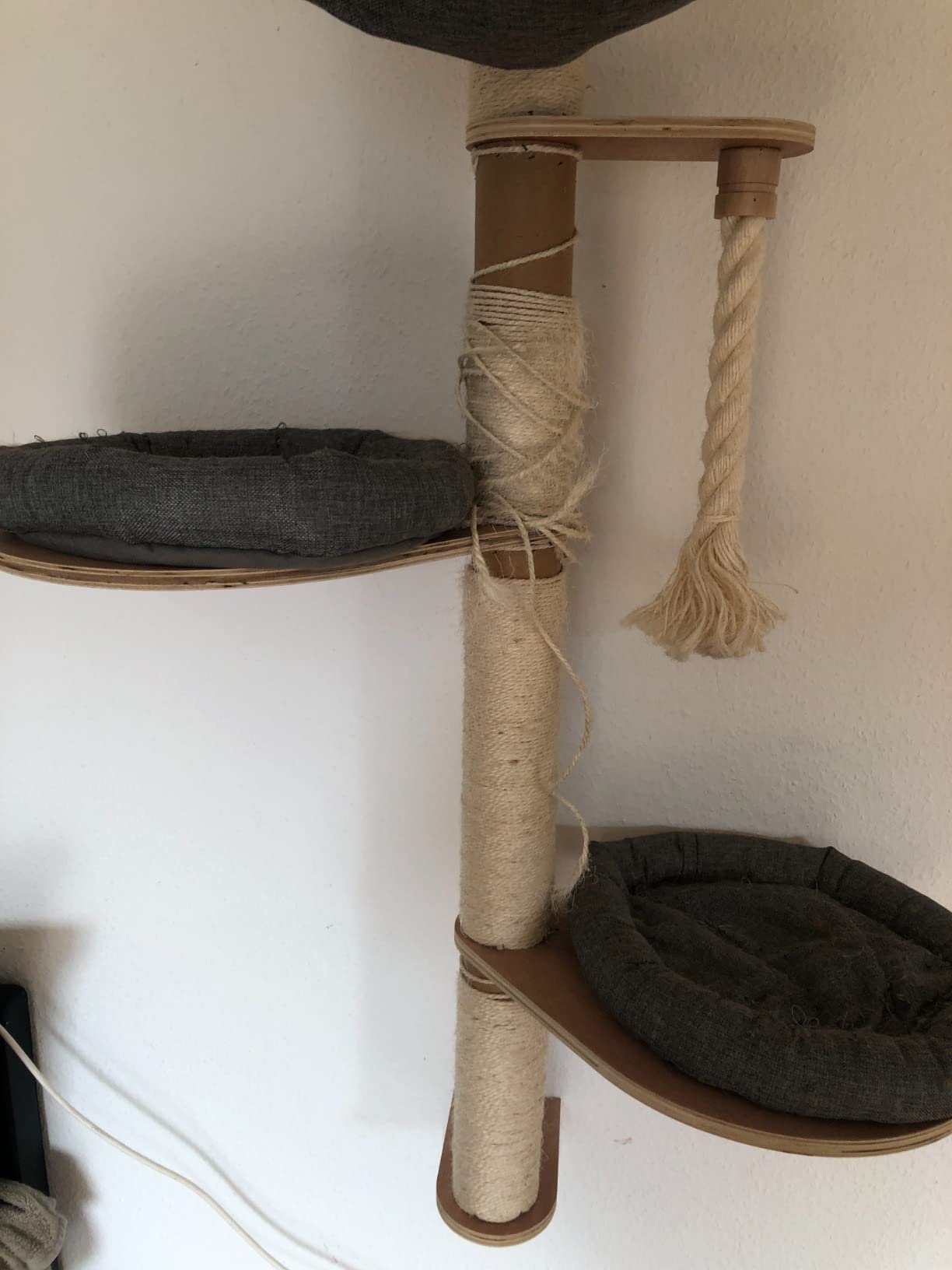 Mon Bengal valide à 100%