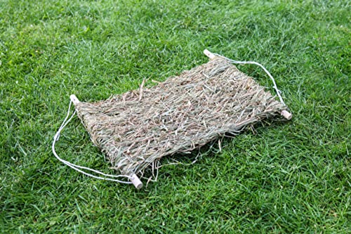 kerbl-pet-tapis-d-herbe-de-rechange-siesta-46-x-36-x-3-5-cm-en-foin image 4