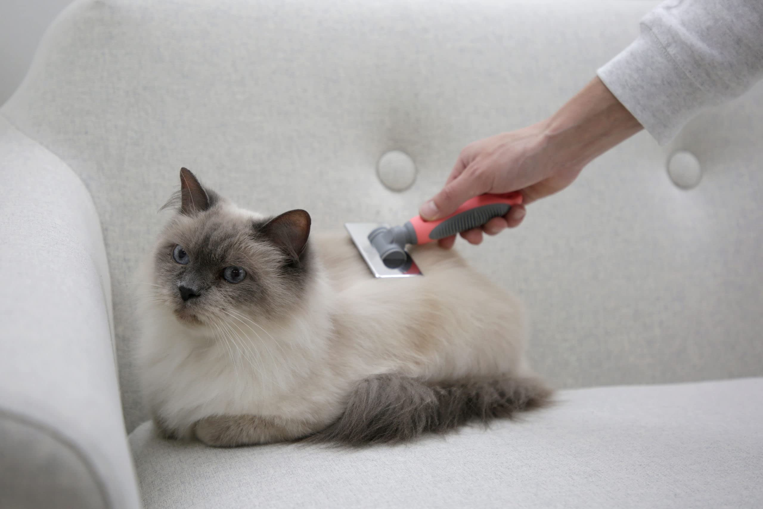kerbl-carde-douce-corail-gris-16x6-cm-brosse-d-m-lante-chien-chat image 3
