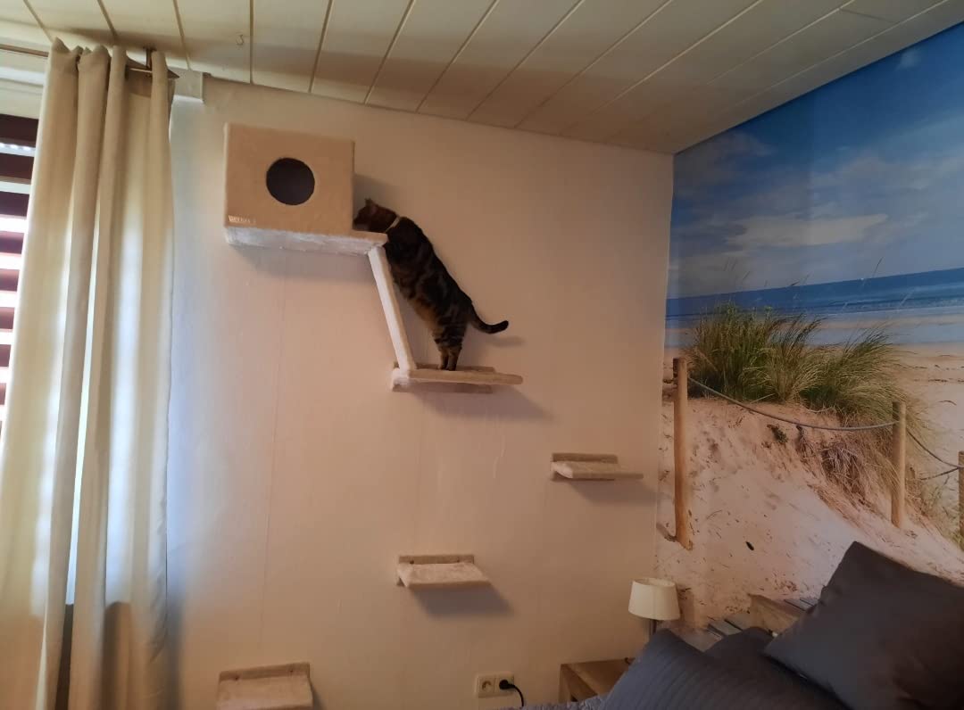 Mon chat ne le quitte plus