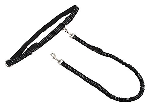 kerbl-pet-laisse-de-jogging-avec-ceinture-r-glable-et-bandes-r-fl-chissantes image 4