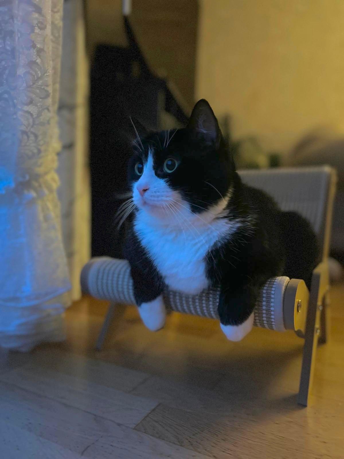Mignonne et pratique