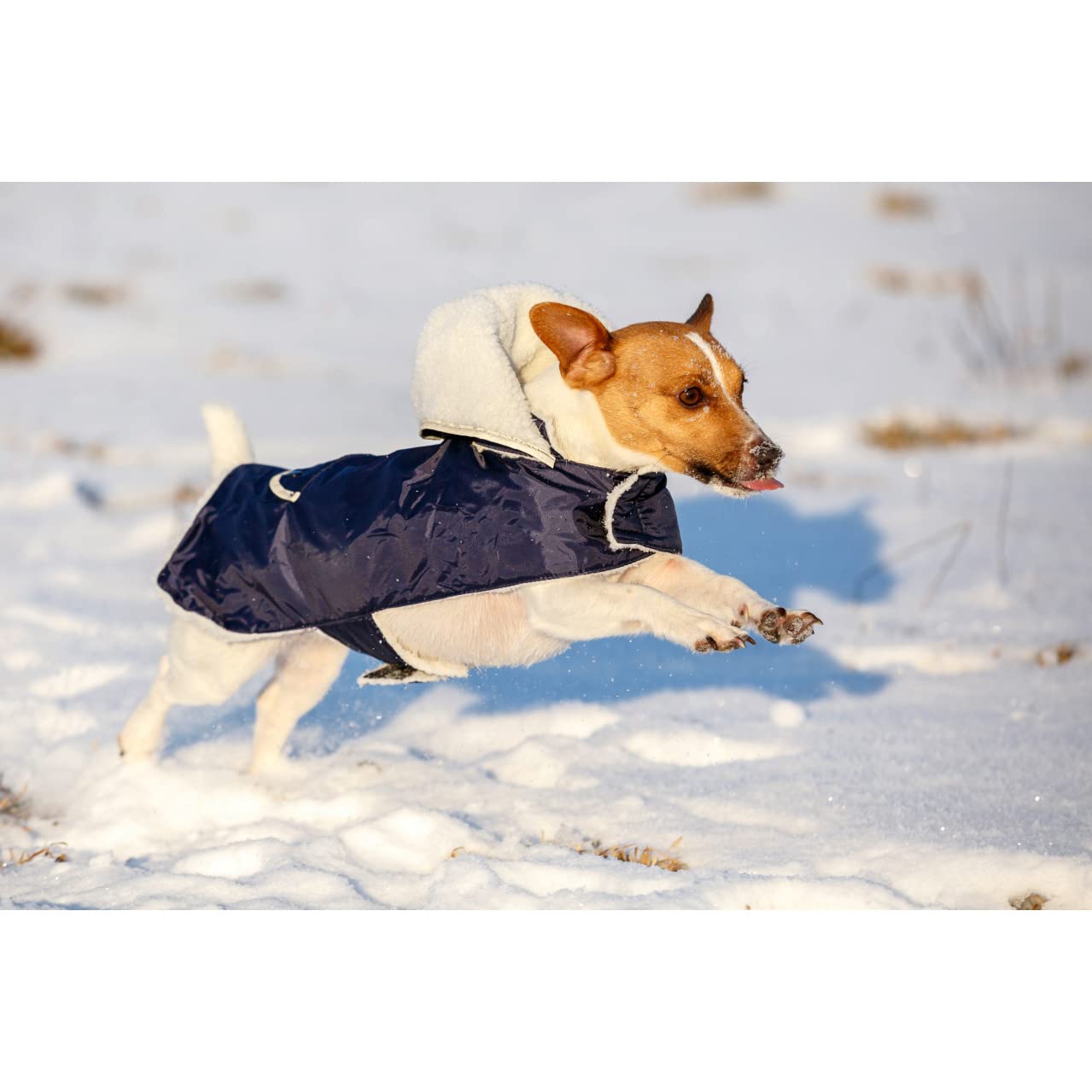kerbl-pet-manteau-chaud-pour-chien-teddy-48-cm-avec-bandes-r-fl-chissantes image 5
