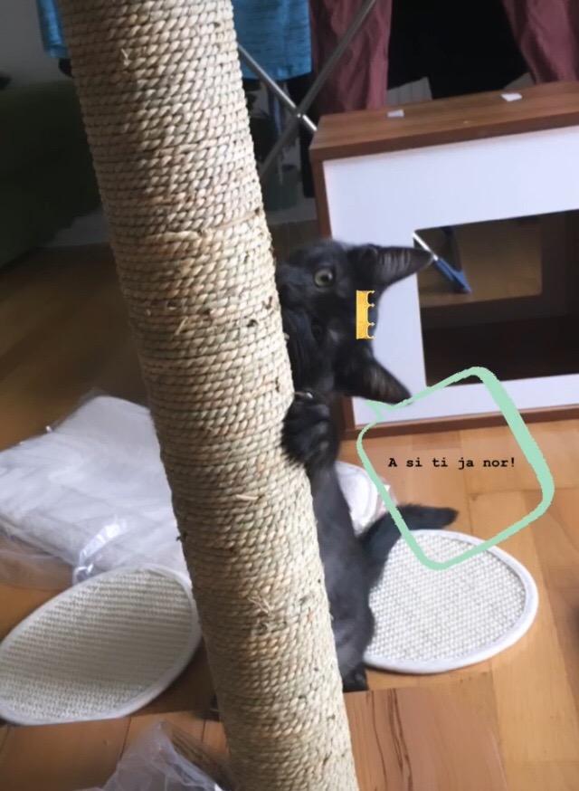Cher pour ce que c'est