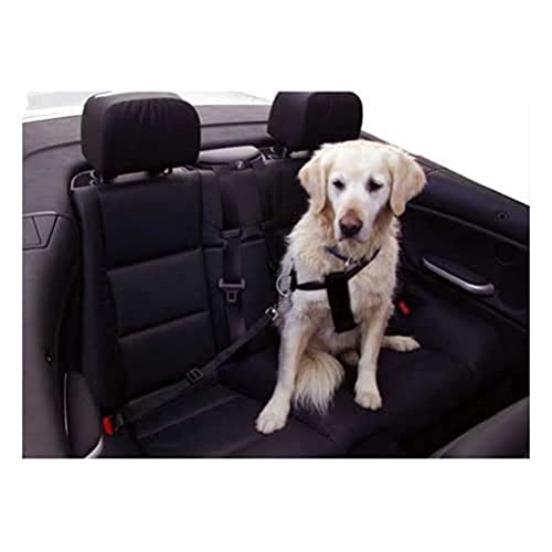 kerbl-sangle-de-s-curit-auto-pour-chien-50-70-cm-noir image 2