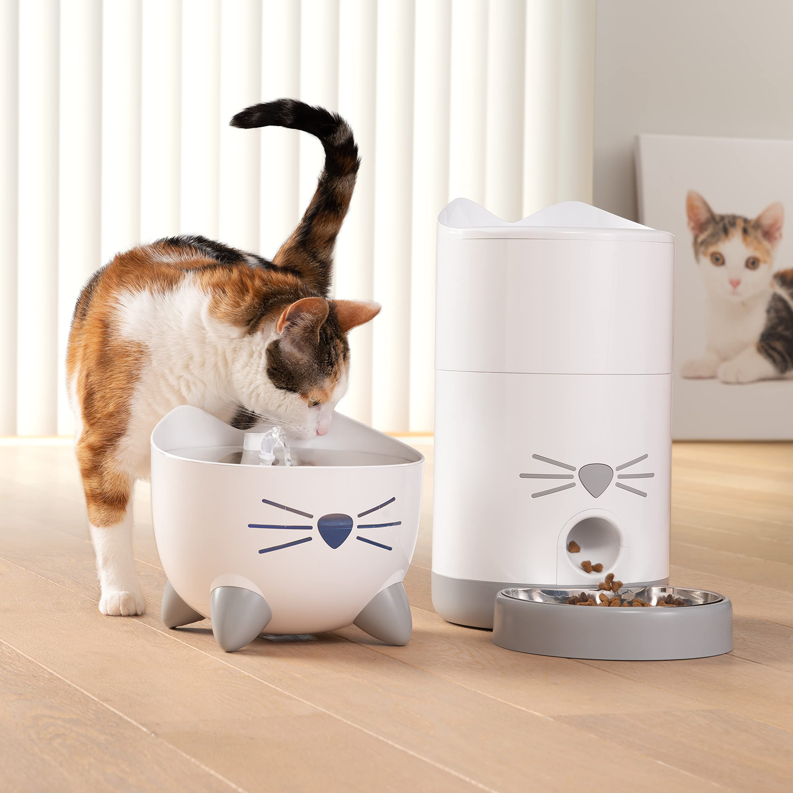 catit-pixi-smart-feeder-distributeur-automatique-chats-connect-1-2-kg image 3