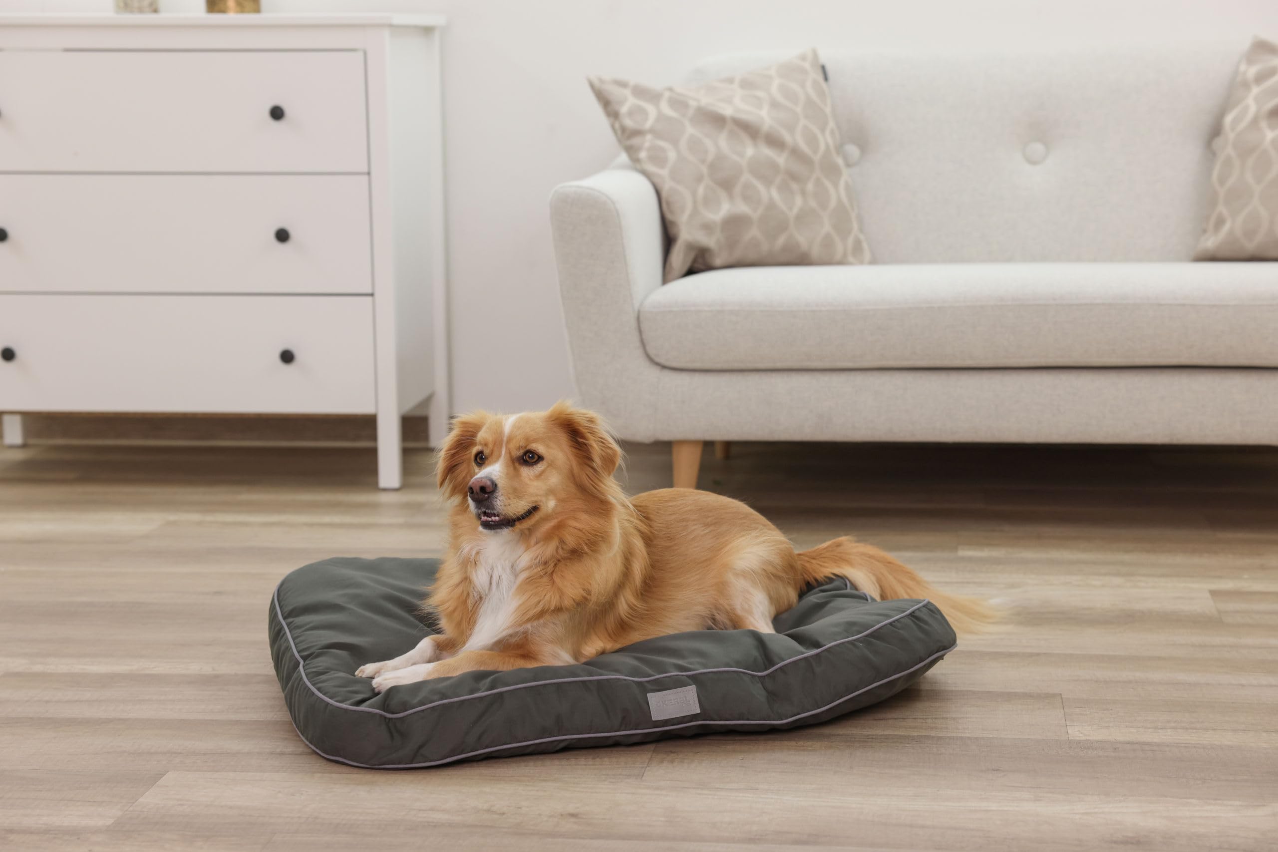 kerbl-pet-coussin-pour-chien-jerome-vert-fonc-gris-60-x-40-x-6-cm image 6