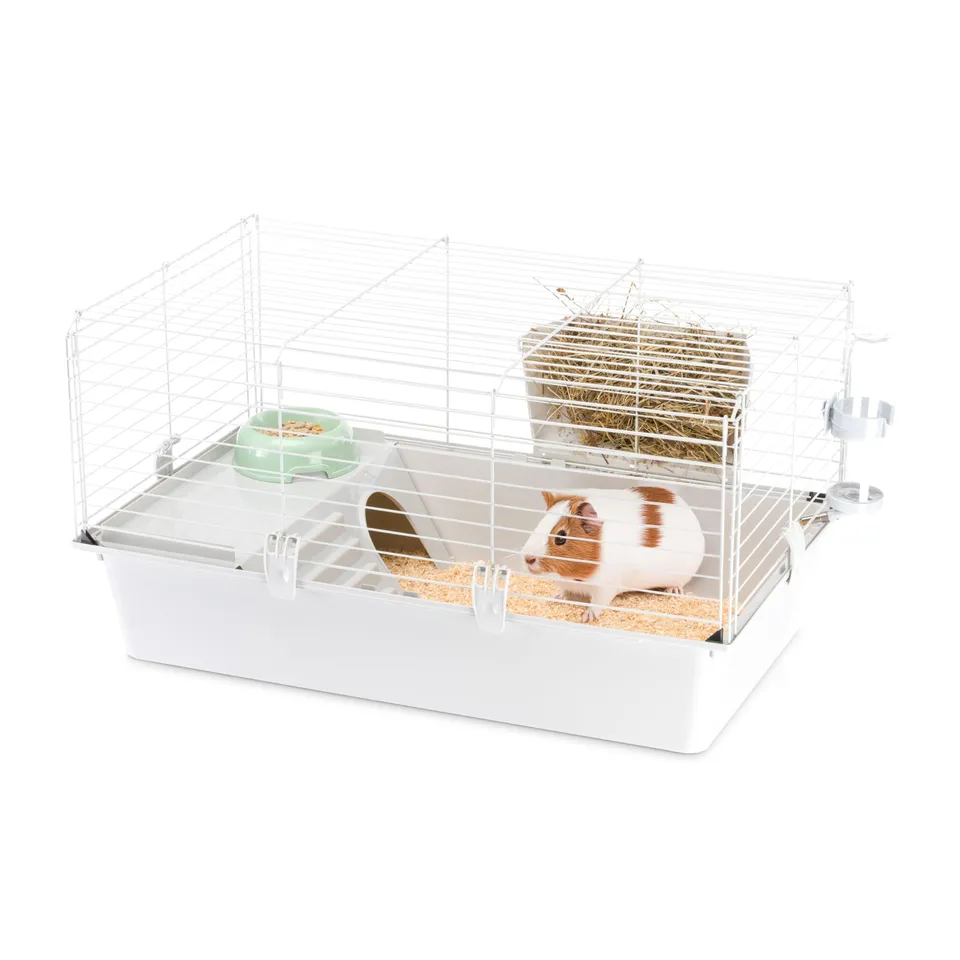 ferplast-cavie-80-cage-pour-cochon-d-inde-77-x-48-x-42-cm-grise-avec-accessoires image 1