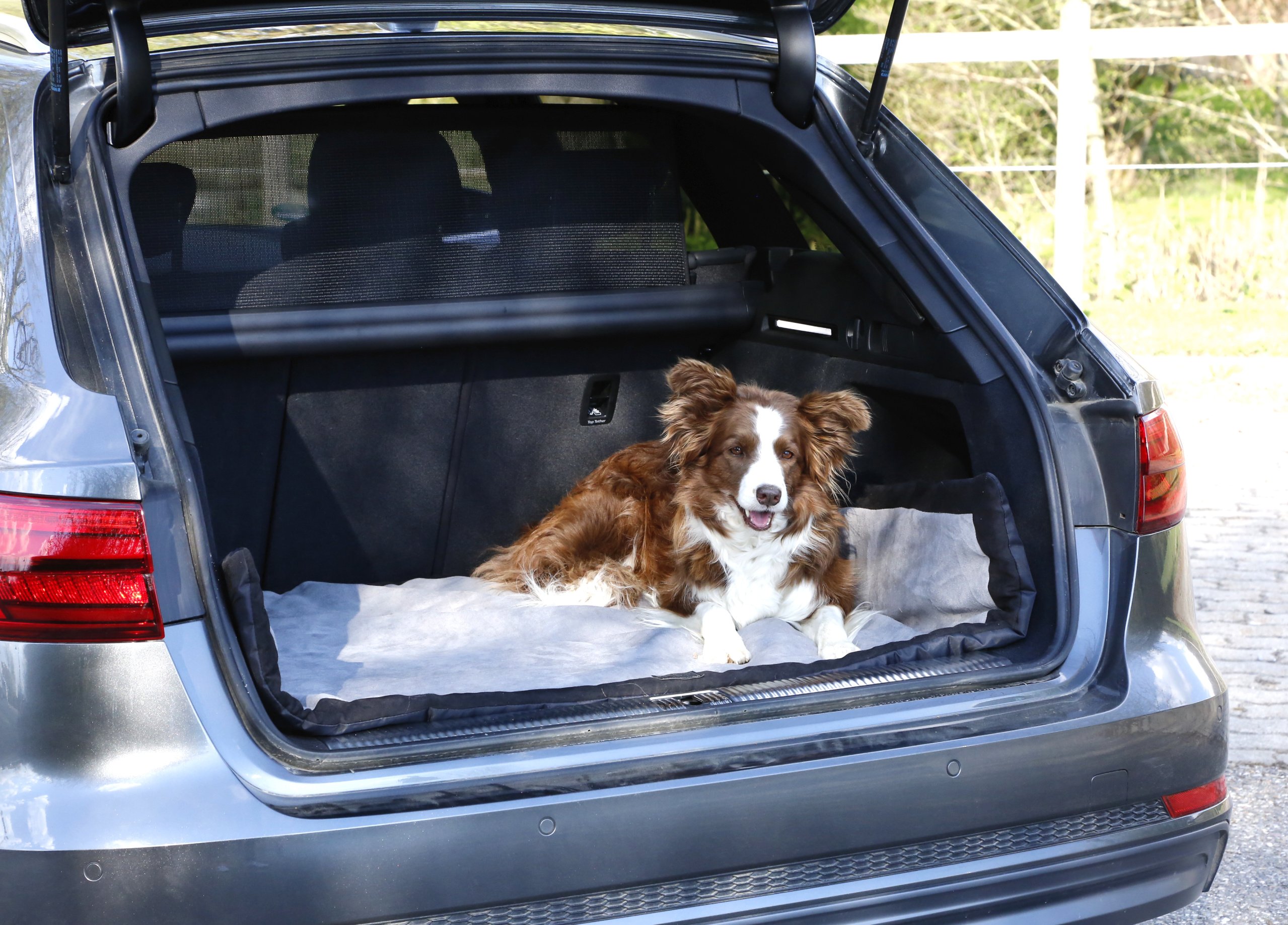 kerbl-couverture-pour-chien-trip-gris-noir-140-x-100-x-4-cm-imperm-able image 8