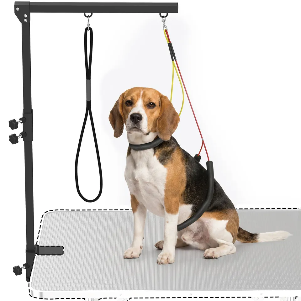 pawhut-bras-de-toilettage-r-glable-48-82-cm-avec-pince-et-2-laisse-noir image 1