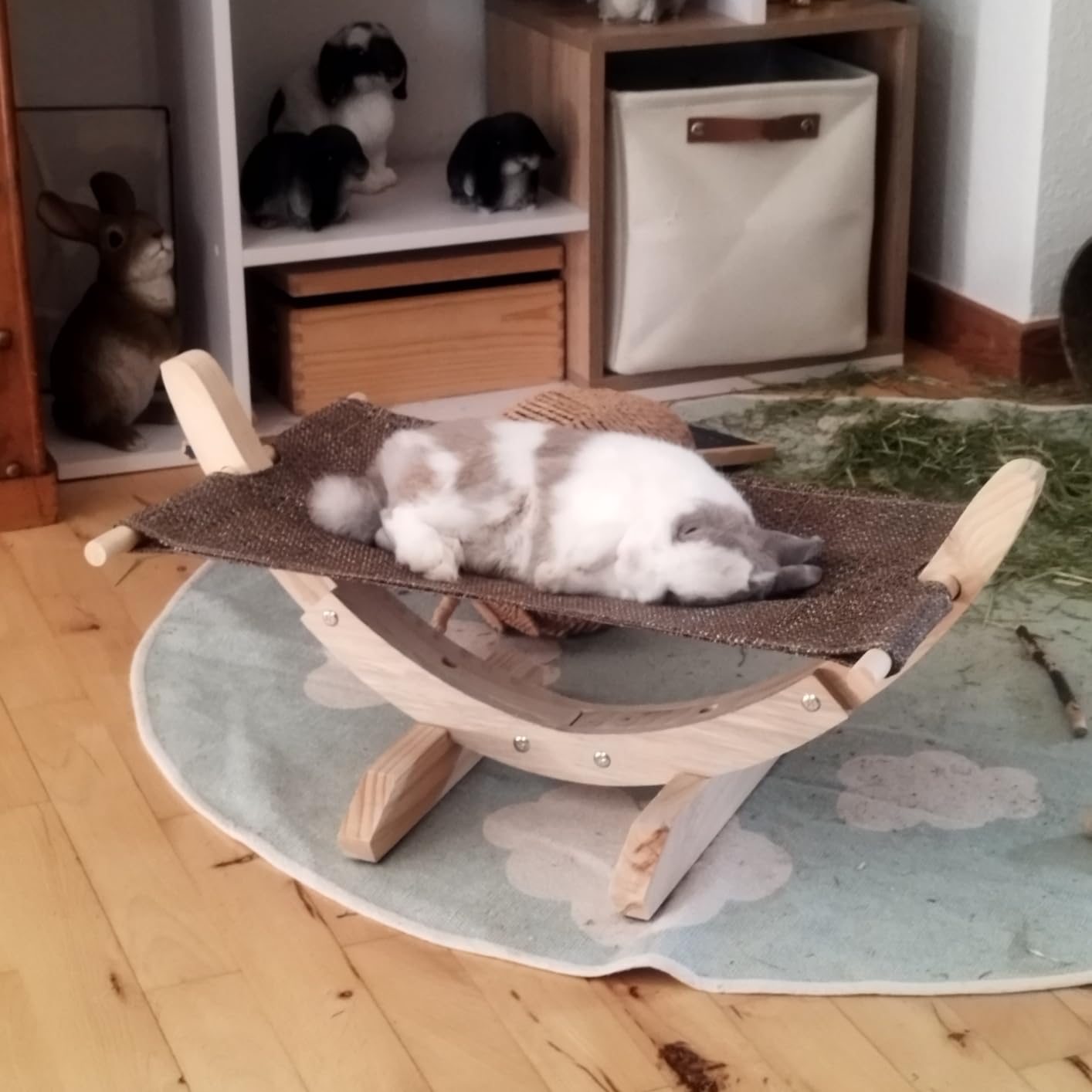 Adopté direct