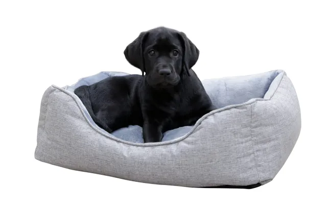 kerbl-marie-corbeille-panier-pour-chien-gris-61-x-48-cm image 1